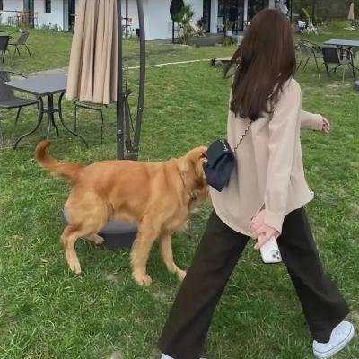 外星人入侵
